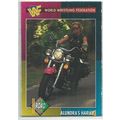 WORLD WRESTLING FEDERATION trading card # 17 AL...
