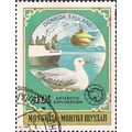 MONGOLIA, BIRDS, Albatross, blue-green 1980, 40...