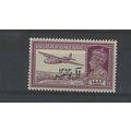 MUSCAT 1944 14A PURPLE UM