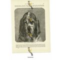 Bloodhound Head, Book Illustration (Print), 1884