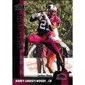 2011 Upper Deck - #166 - Korey Lindsey-Woods St...