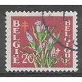 Belgium ( Belgique ) N° 834 OBLITERE (USED)