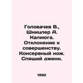 Golovachev V., Shnitzler A. Kaliyuga. A deviation to perfection. Canned knife.