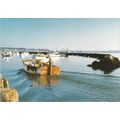 6x4 Continental size printed postcard Fisherman...