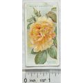 1912 Wills Roses No. 16 William Allen Rychardson