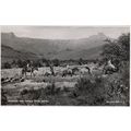 Crossing The Tugela River Western Cowboy Style ...