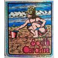 South Carolina State Vinyl Reflective Souvenir ...