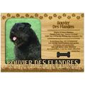 Bouvier Des Flandres Engraved Wood Picture Fram...