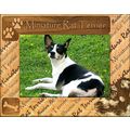 Miniature Rat Terrier Laser Engraved Wood Pictu...