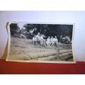 1940s? veteran car number CWL 763. Forsale boar...