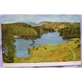 old colour postcard Tarn Hows