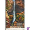 France PC - Adia - Les Gorges Du Loup - La Cascade