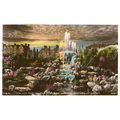 SUPERB COLOUR TINT R.P. POSTCARD LILY POND/ROCK...