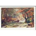 Yorkshire HARROGATE Oak Beck "Jotter" Art Postc...