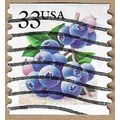 1999 Blueberries 15934