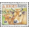 JERSEY, MAMMAL, Cow with calf, orange 2001, Jer...