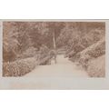 EC322 RICHMOND - THE TERRACE GARDENS . RP POSTCARD