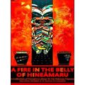 A Fire In The Belly Of Hineamaru: A Collection ...