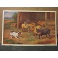 PUPPY DOG AND PIGLETS unused postcard by J. sal...
