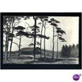 Warwickshire BIRMINGHAM Lickey Hills Postcard b...