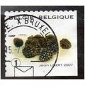 BEL 2007 (52c)(S/A) 'FRUIT- BLACKBERRIES' FINE ...