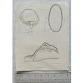 1800 engraved plans of encampments Campwood, Co...