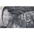Casa Codorniu Vinos en crianza San Sadurni de N...