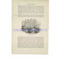 Water Quintain, Medieval Joust, Book Illustrati...
