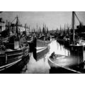 Fishing Fleet In Lossiemouth, Moray, B & W Book...