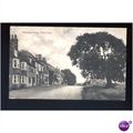 Sussex WINCHELSEA Wesley's Tree Postcard by J. ...