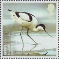 GB 2007 Action for Species Birds 1st Avocet Unm...