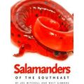 Salamanders Of The Southeast