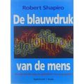 De Blauwdruk Van De Mens