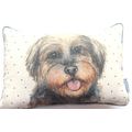 Scruffy Dog Small Cushion 19 CM