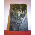 CHINE FALL, SHANKLIN, Isle of Wight used antiqu...