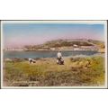 Milking Time, Alderney, 1965 - Birn Brothers RP...