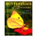 Butterflies Of Louisiana