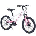 20-Inch Kids Mountain Bike – Single Speed MTB f...
