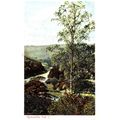 Vintage Colour Postcard - Symonds Yat, Hereford...