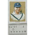 Yorkshire Test Cricketers Card No. 13 M. Leyland