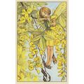 Laburnum Fairy From WW2 Flower Fairies Book Pos...