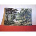 UNKNOWN WOODLAND ROAD unused vintage postcard b...