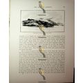 Castel Nuevo, Gulf Of Cattaro, Montenegro, Book...