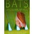 Bats Of Colima, Mexico