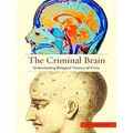 The Criminal Brain