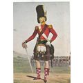 Officer The 79th Cameron Highlands 1833 - 1837 ...