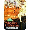 Skyline Caverns The Chandelier Photo Fridge Magnet