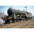pu3507 - Engine No.60079 Bayardo, at Edinburgh ...