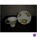 Royal Albert Tea Cup & Saucer