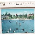 old postcard Water Zoo of Ueno, Japan